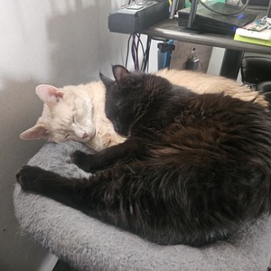 Fundraising Page: Billie Bennett